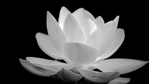 Lời cảm ơn của gia đình ông Hoàng Hồng Đức-nguyên Giám đốc Trung tâm RITC